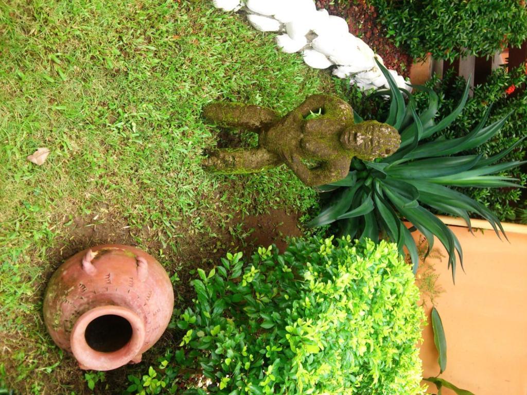 Inn On The Park Manuel Antonio Εξωτερικό φωτογραφία