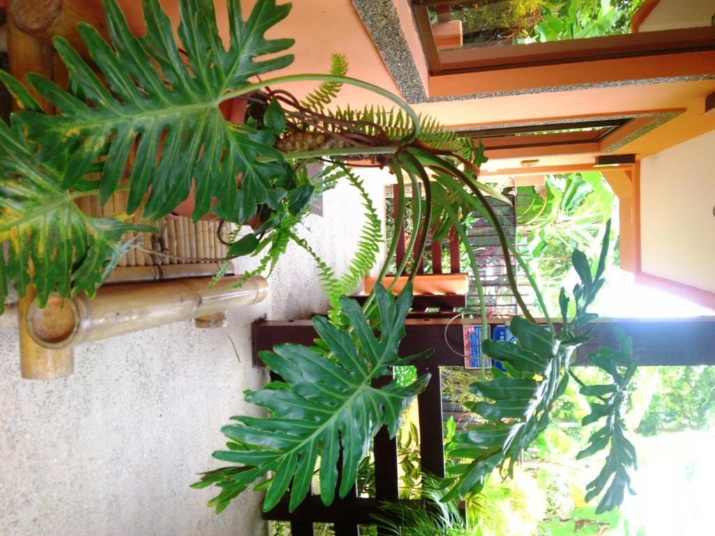 Inn On The Park Manuel Antonio Εξωτερικό φωτογραφία